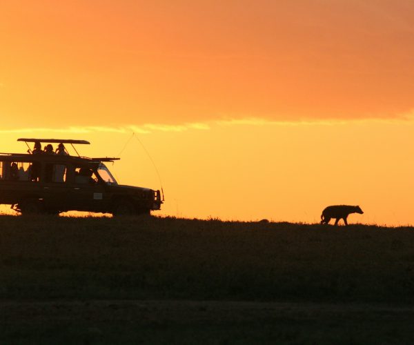 8 Days Kenya Safari in 4×4 Land Cruiser